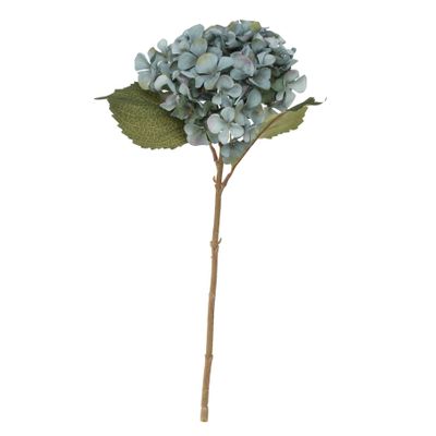 Balmoral Hydrangea Blue