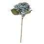 Balmoral Hydrangea Blue