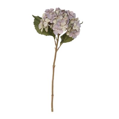 Balmoral Hydrangea Light Blue