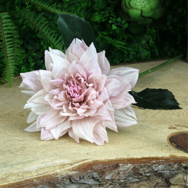 Glamis Single Dahlia with 2 Leaves Light Pink (61cm)