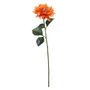 Glamis Single Dahlia with 2 Leaves Orange (61cm)