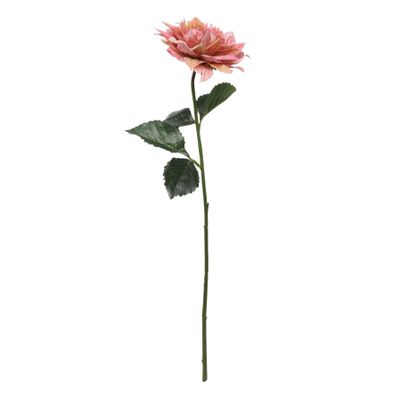 Glamis Single Dahlia with 2 Leaves Pink (61cm)