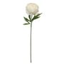 Glamis Single Peony Cream (62cm)