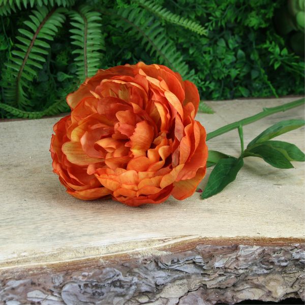 Orange peony deals