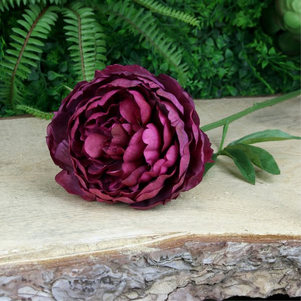 Peony burgundy deals