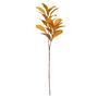 Glamis Croton Spray Gold (72cm)