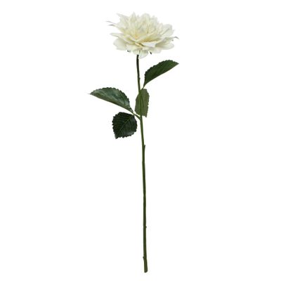 Glamis Single Dahlia with 2 Leaves Cream (61cm)