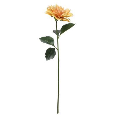 Glamis Single Dahlia with 2 Leaves Yellow (61cm)