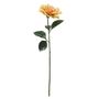 Glamis Single Dahlia with 2 Leaves Yellow (61cm)