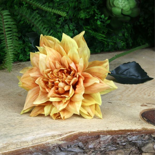 Glamis Single Dahlia with 2 Leaves Yellow (61cm)
