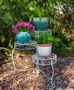 French Country Scroll 3-Tier Plant Stand, Distressed White, Colour Box