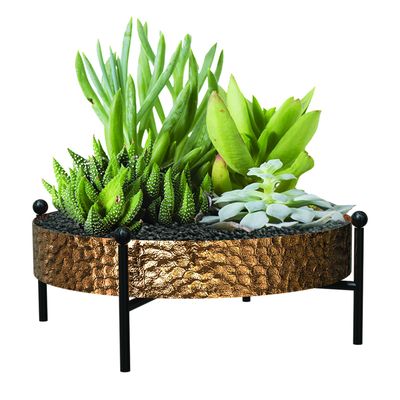 Tabletop Succulent Round Tray Planter with Hammered Copper Finish and Stand