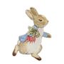 Peter Rabbit Shaped Plates