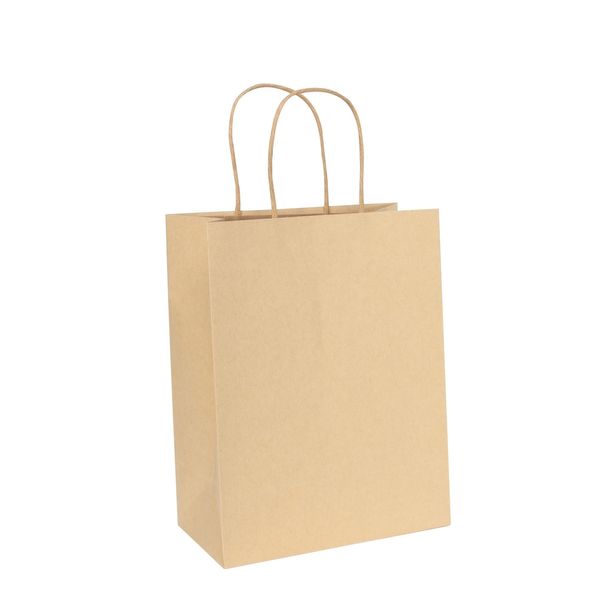 Kraft Paper Bag Brown (H23cm W18cm D10cm) - Pack of 10