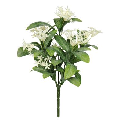 Exterior Everlast  25cm Star Flower plant U.V