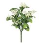 Exterior Everlast  25cm Star Flower plant U.V