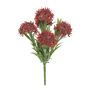 Exterior Everlast  24cm Skimmia plant U.V