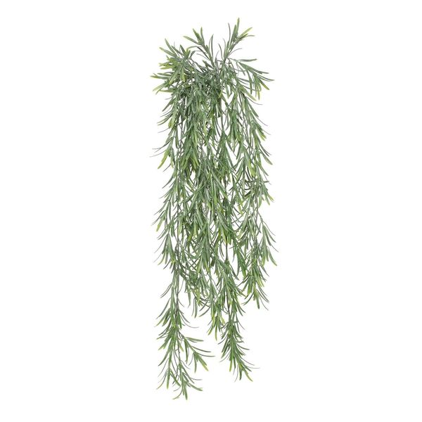 Exterior Everlast  76cm Trailing Rosemary  plant U.V