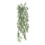 Exterior Everlast  76cm Trailing Rosemary  plant U.V