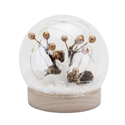 Snowglobe