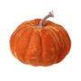 Velvet Pumpkin