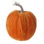 Velvet Pumpkin