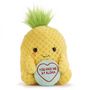 Love Hearts 18Cm (7?) Pineapple