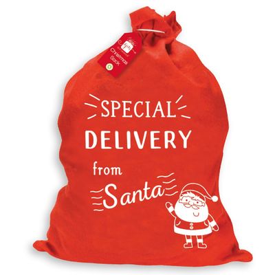 Special Delivery Sack 