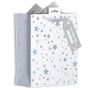 Star Gift Bag 