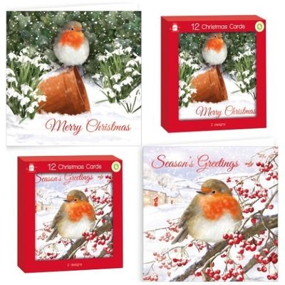 Robin Christmas Cards 