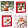 Robin Christmas Cards 