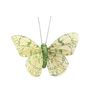 Green Feather & Glitter Butterfly 6cm x 8cm w/clip/Pk 12