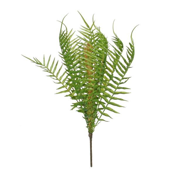 Garden Fern (24/240)