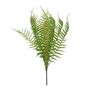 Garden Fern (24/240)