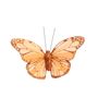 Pastel Orange Feather & Glitter Butterfly 5cm x 8cm w/clip/ Pk 12