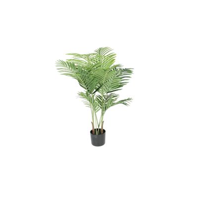 Parlour Palm 110cm