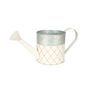 Two Tone Crosshatch Pattern Watering Can