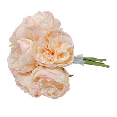 Aquitaine Peony Bunch Light Champagne-7 Flowers 34cm (8/72)
