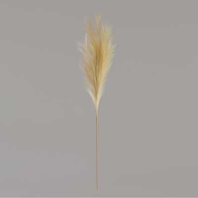 Luxury Pampas Buttermilk 15 Heads (12/300)