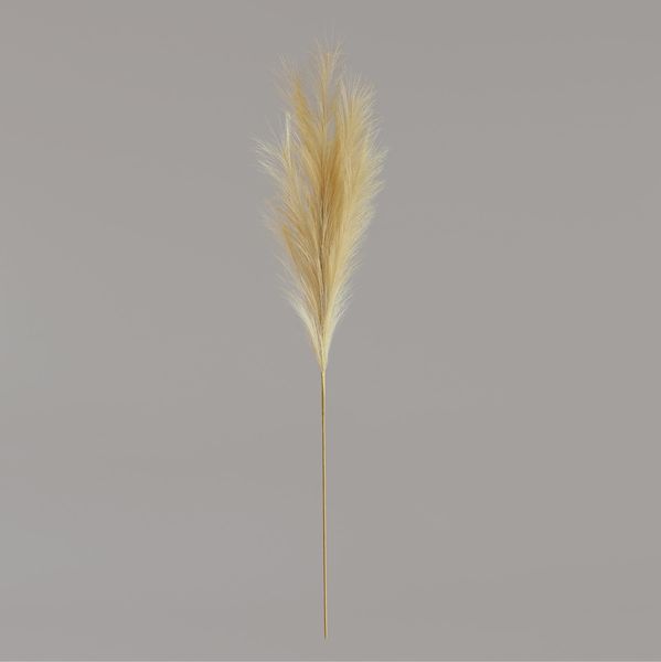 Luxury Pampas Buttermilk 15 Heads (12/300)