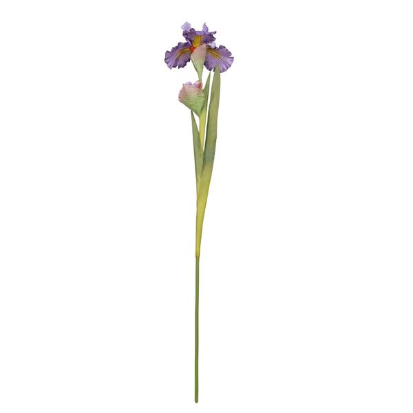 Monet Iris Blue-87cm (12/144)