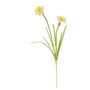 Monet Narcissus Yellow/White-2 Flowers 58cm (24/288)