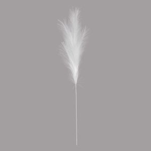 Luxury Pampas Arctic White 15 Heads (12/300)