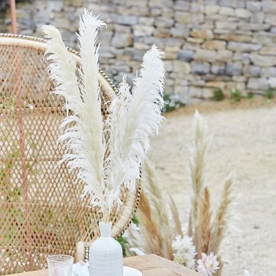 Bleached Pampas Grass