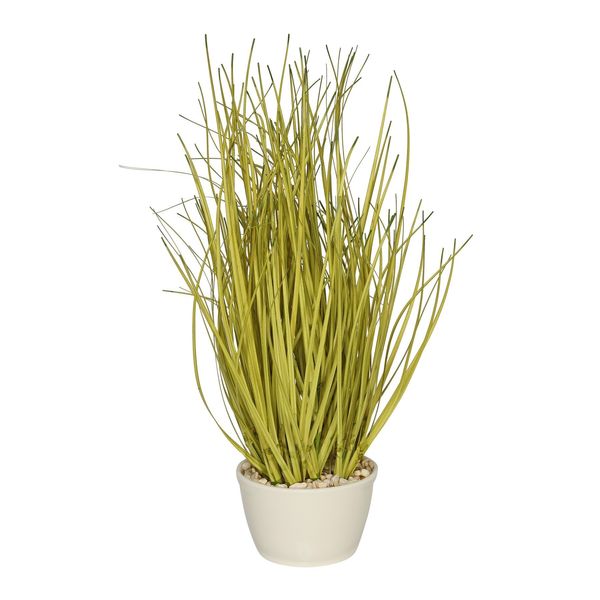 26cm Grass w/Ceramic Pot Green
