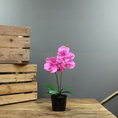 Aragon Phalaenopsis-Pink in Ceramic Pot -2 stems H40cm(1/12)