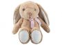 30Cm Sitting Floppy Pippin Rabbit Brown