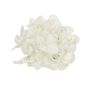 Hydrangea w/Clip 18cm Cream