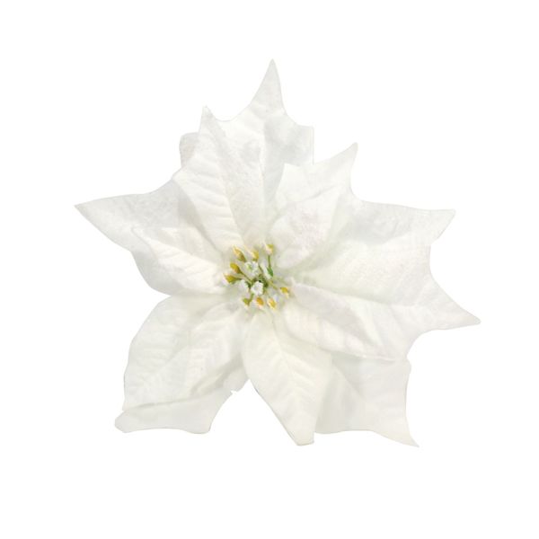 Poinsettia w/Clip 25cm - Snowy White 