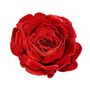 Vintage Rose Velvet With Clip Red  